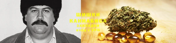 метадон Гусь-Хрустальный