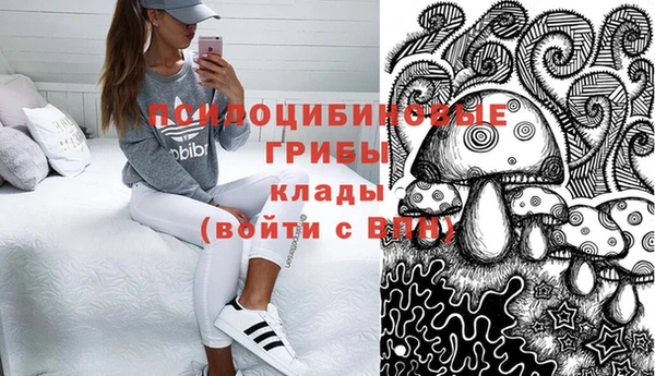 дживик Гусев