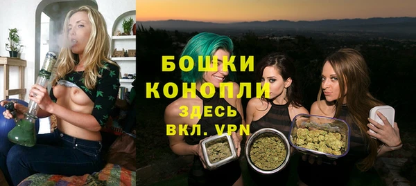 метадон Гусь-Хрустальный